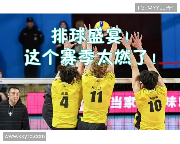 排球魅力无穷：深入了解上海排球队的灵活战术与团队精神